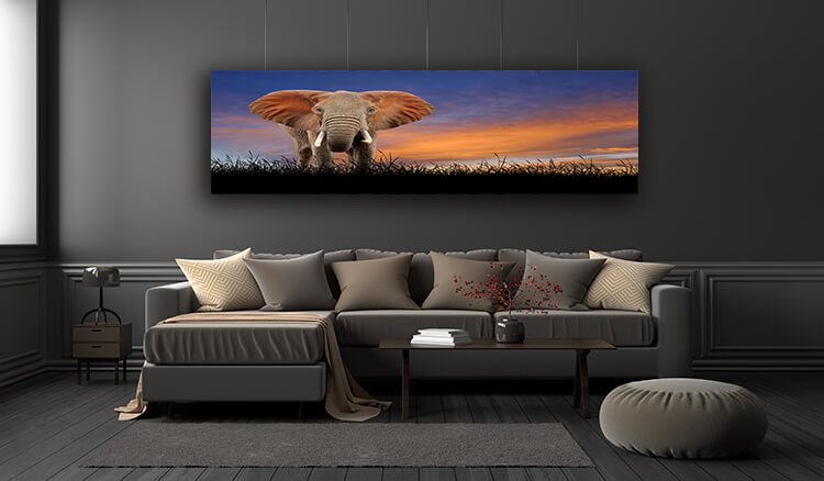 WEB005 0020 ML 0012 22639486 The elephant on the background of sunset sky AOAY5558