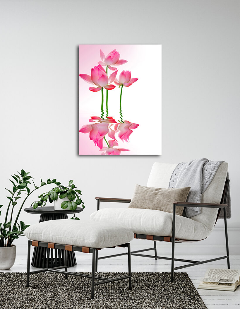 WEB005 0020 MPortrate 0035 6597352 beautiful lotus with reflection AOAY7611
