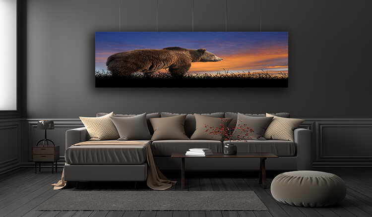 WEB005 0025 ML 0007 22639496 bear on the background of sunset sky AOAY5561