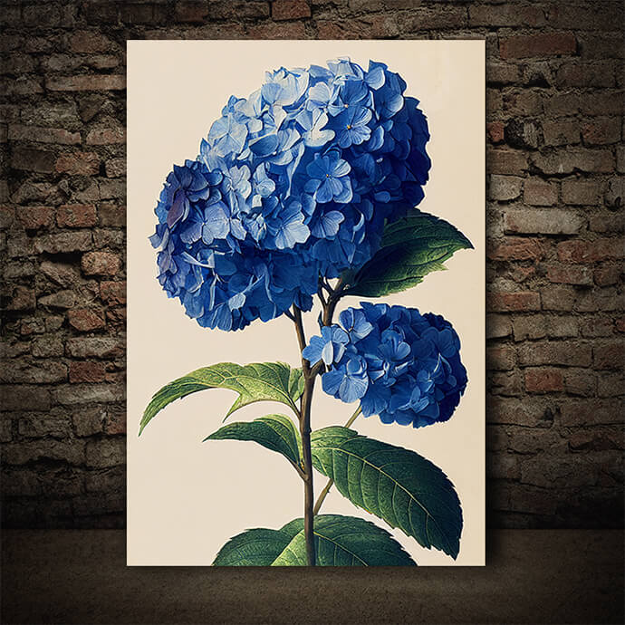 WEB005 0026 ML 0009 49132854 artistic illustration of the blue hydrangea flower AOAY8232