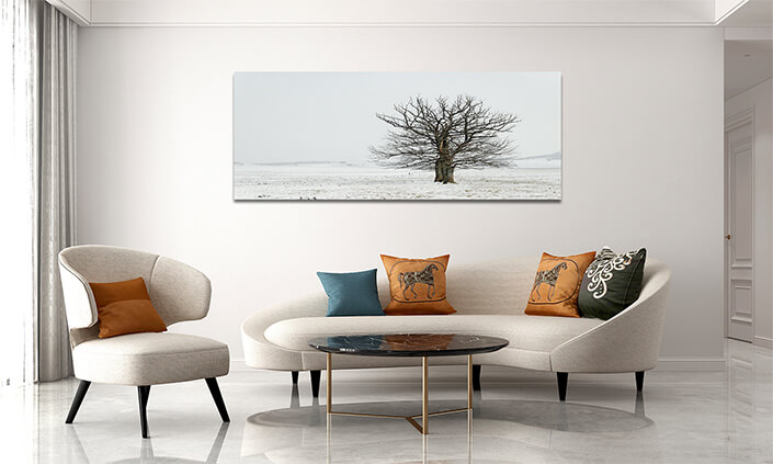 WEB005 0028 MP 0055 1526908 single tree in snow AOAY7266