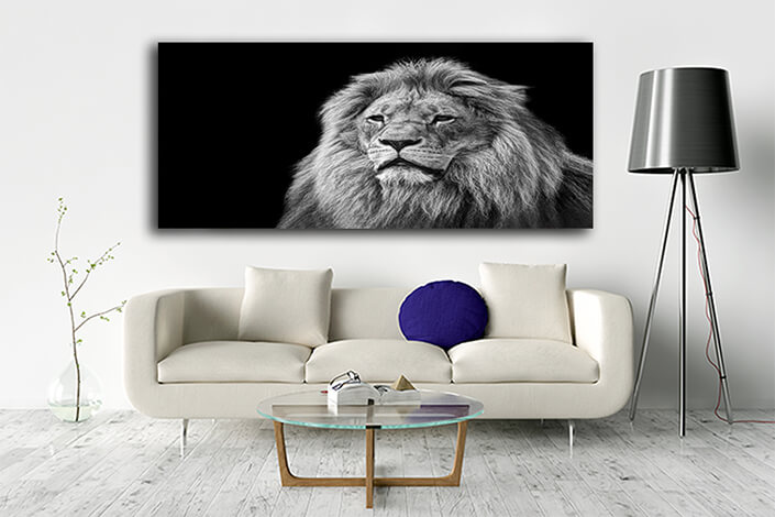 WEB005 0030 ML 0004 art 0010 9799376 B&W lion portrait on black ART AOAY8144