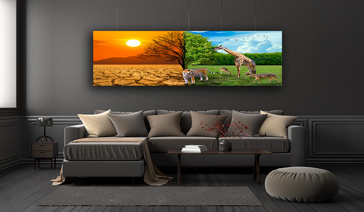 WEB005 0032 ML 0036 29862870 drought and forest where the wildlife is living global warming concept AOAY5636