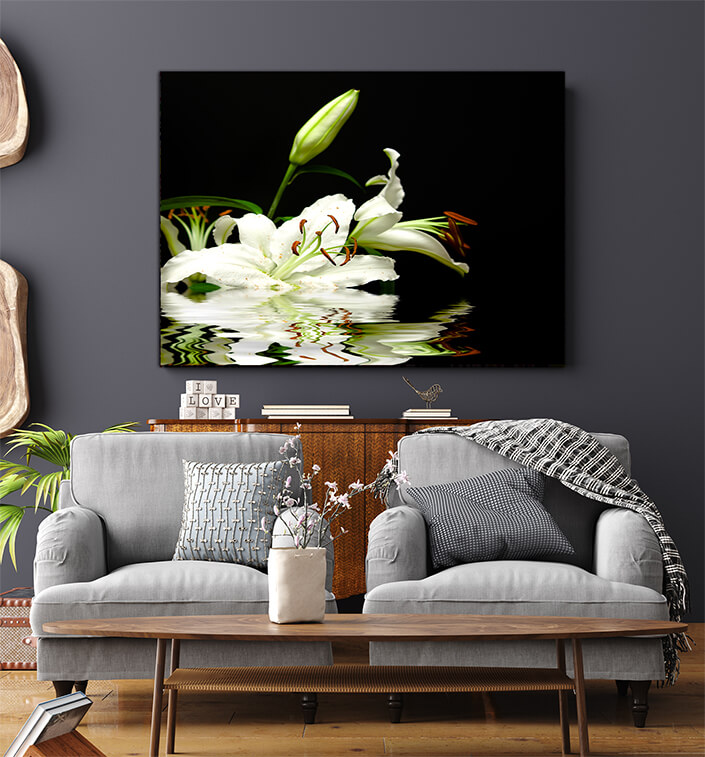 WEB005 0032 MS 0035 1292670 white flowers and reflexion AOAY7782
