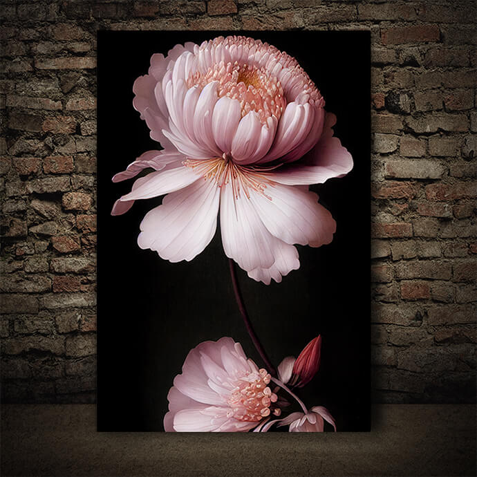 WEB005 0033 ML 0002 49146866 soft pretty pink petals of the freesia flower an artistic illustration AOAY8239