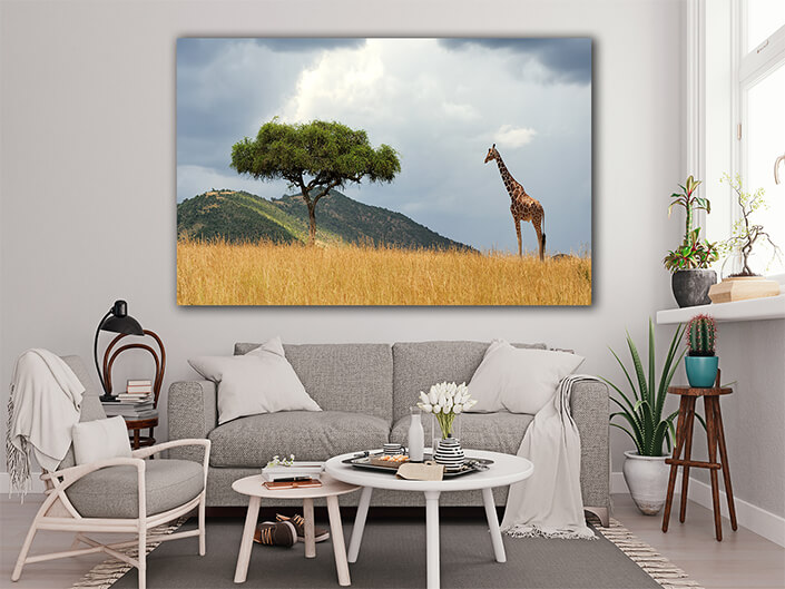 WEB005_0038_MOCKUP__0044_22505236_landscape with tree in Africa (1) AOAY5541