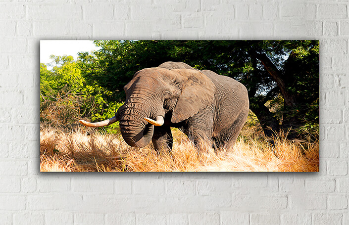 WEB005_0040_MOCKUP__0035_39404560_african bull elephant kruger national park AOAY4739