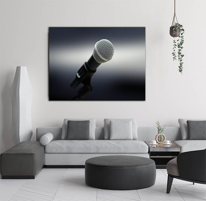 WEB005 0043 MP 0048 22676148 The close up of microphone AOAY5582