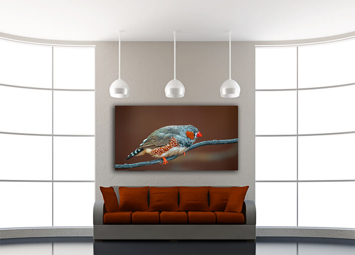 WEB005 0044 MOCKUPs 0031 37202924 bird sits on a branch AOAY6021