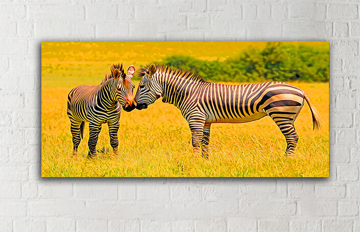 WEB005 0045 MOCKUP 0030 48199964 hartmanns mountain zebras at is natural habitat AOAY3890
