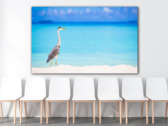 WEB005_0052_ML_0034_30477476_grey heron standing on white beach on tropical island in indiaan ocean AOAY6563