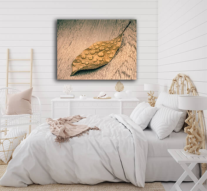 WEB005 0053 MS 0036 35551948 dry leaf on greybackground AOAY6140