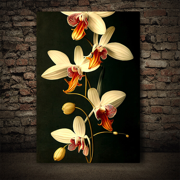 WEB005 0054 ML 0038 49132548 artistic illustration of the colorful orchid flower AOAY8201