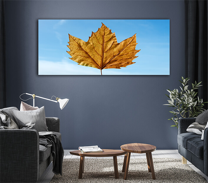 WEB005 0068 ML 0069 1880559 leaf AOAY7180