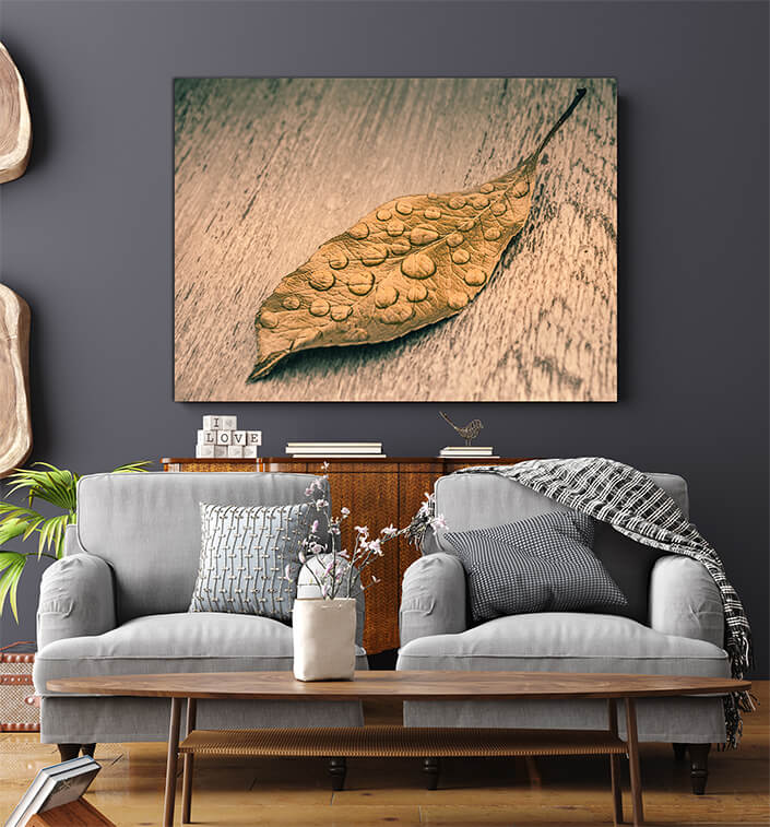 WEB006 0003 MS 0036 35551948 dry leaf on greybackground AOAY6140