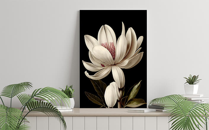 WEB006 0004 ML 0028 49132690 artistic illustration of the beautiful creamy magnolia flower AOAY8212