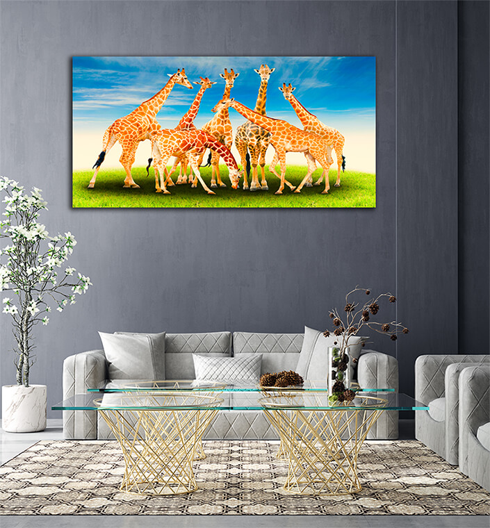 WEB006 0005 ML 0027 20990816 group of giraffe AOAY4627