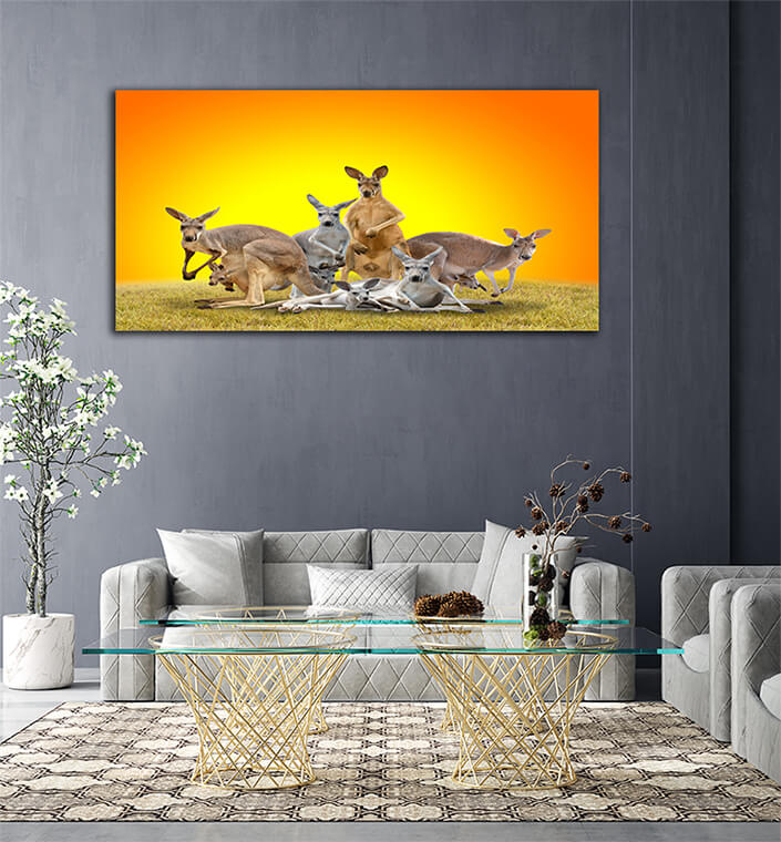 WEB006 0006 ML 0026 20990850 group of kangaroo AOAY4628