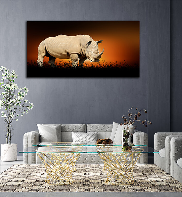 WEB006 0008 ML 0024 22639442 rhino on the background of sunset AOAY5546