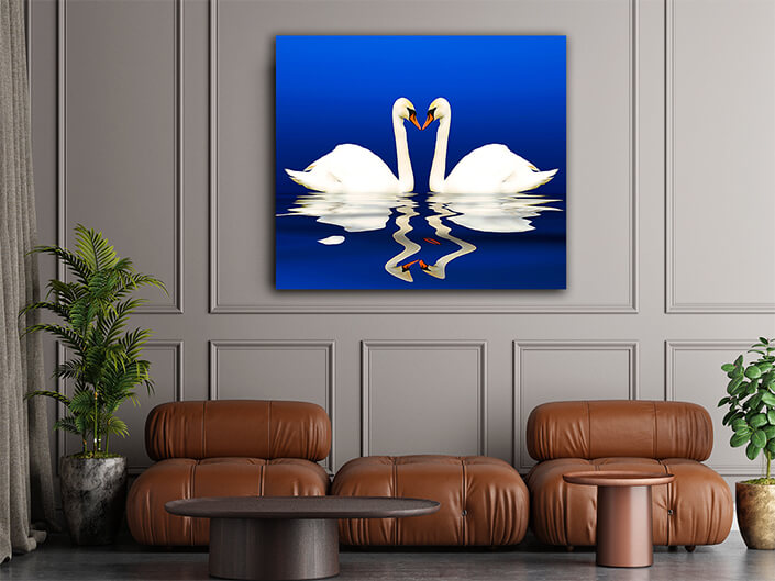 Two swans with reflection Arted AOAY8122