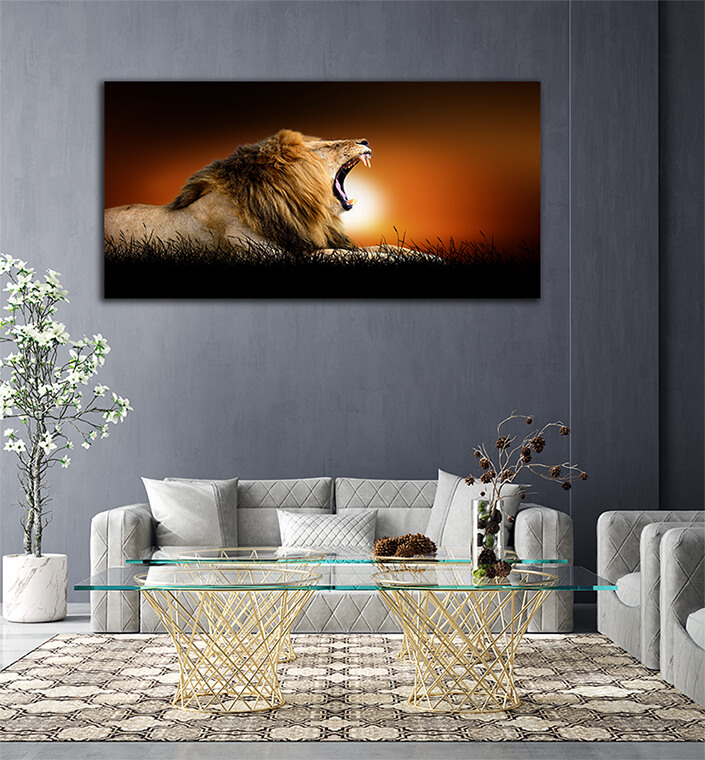 WEB006 0009 ML 0023 22639448 lion on the background of sunset AOAY5547