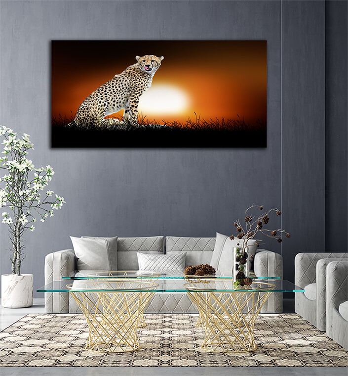 WEB006 0010 ML 0022 22639452 cheetah on the background of sunset AOAY5548