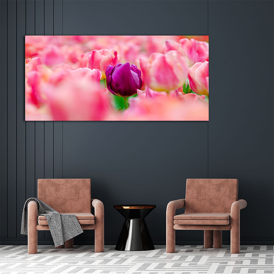 WEB006 0011 ML 0026 27915478 the red yellow tulip fields are densely blooming AOAY5627