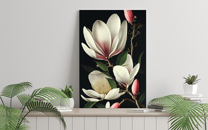 WEB006 0013 ML 0019 49132766 artistic illustration of the white magnolia flower AOAY8221