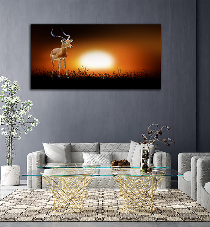 WEB006 0014 ML 0018 22639470 impala on the background of sunset AOAY5552