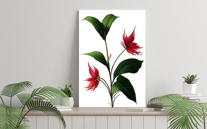 WEB006 0019 ML 0013 49132794 poinsettia flowers red petals green leaves on white artistic illustration AOAY8228