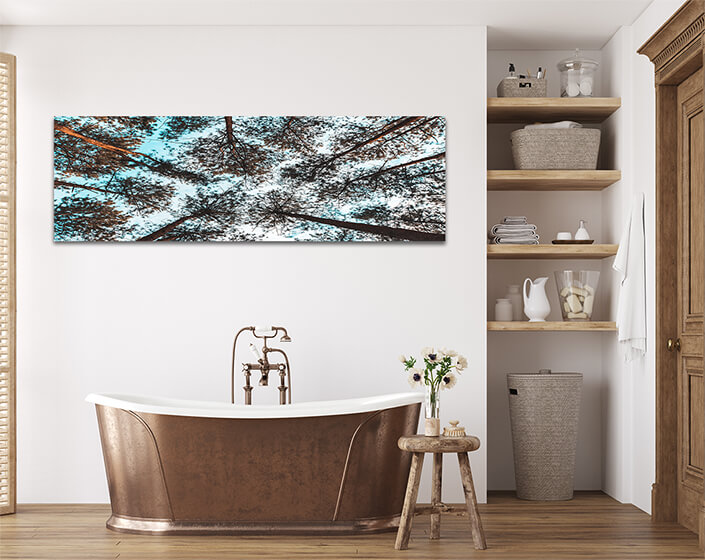 WEB006 0028 MP 0008 31412644 pinus mugo in creeping pine dwarf mountain AOAY7258