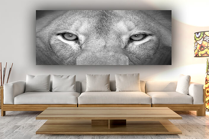 Web006 0029 ml 0006 art 0005 27965766 female lion eyes close up aoay8149
