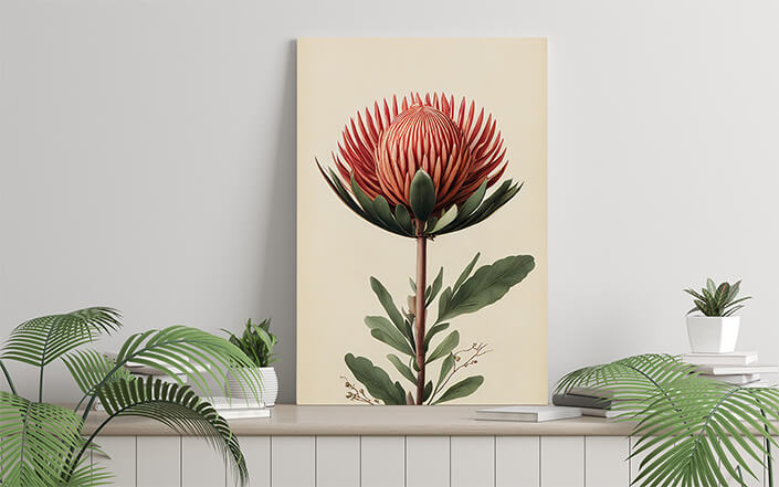 WEB006 0036 ML 0054 49132434 artistic illustration of the red protea flower AOAY8185