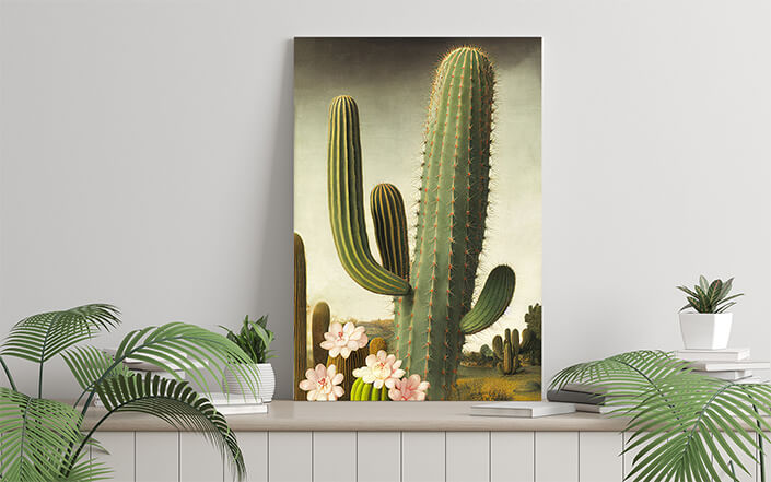 WEB006 0041 ML 0049 49132460 an artistic illustration of a pink cactus flower and its prickly stem AOAY8190