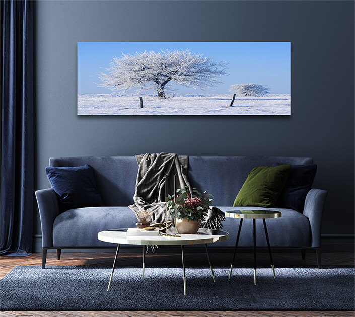 WEB006 0041 MP 0008 23345582 Two frozen trees AOAY7358