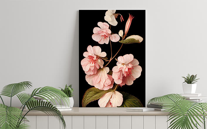 WEB006 0054 ML 0036 49132594 artistic illustration of the pink begonia flower AOAY8203