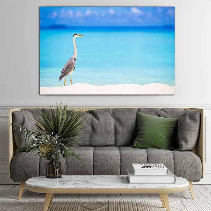 WEB006_0055_ML_0034_30477476_grey heron standing on white beach on tropical island in indiaan ocean AOAY6563