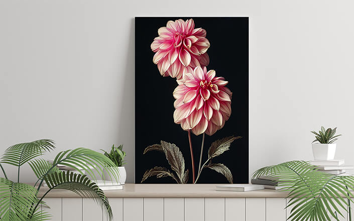 WEB006 0055 ML 0035 49132604 artistic illustration of the pink dahlia flower AOAY8204