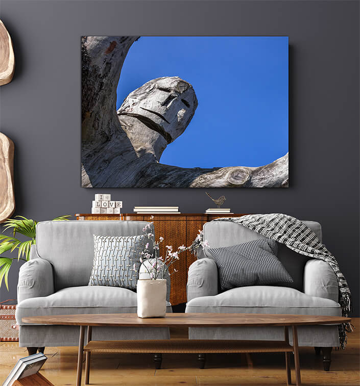 WEB006 0060 MS 0041 33056918 tree trunk carved AOAY6507