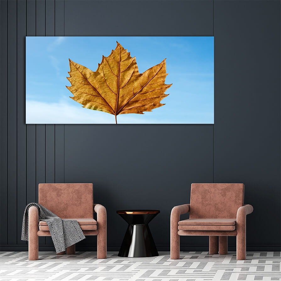 WEB006 0071 ML 0069 1880559 leaf AOAY7180