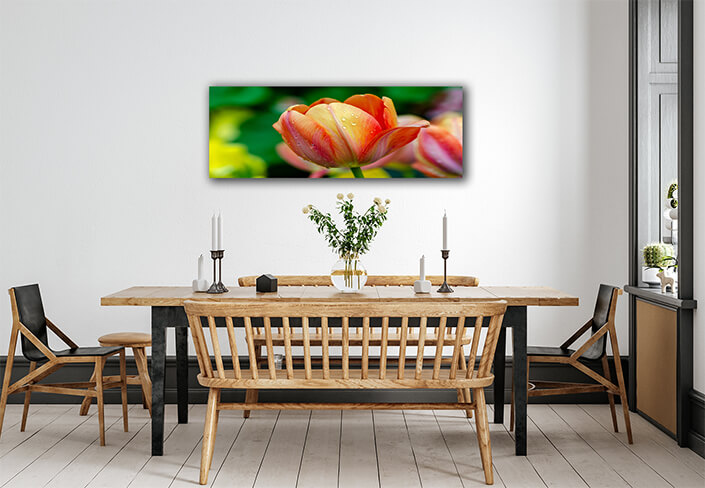 WEB007 0002 ML 0030 27915474 red yellow tulip fields are densely blooming AOAY5624