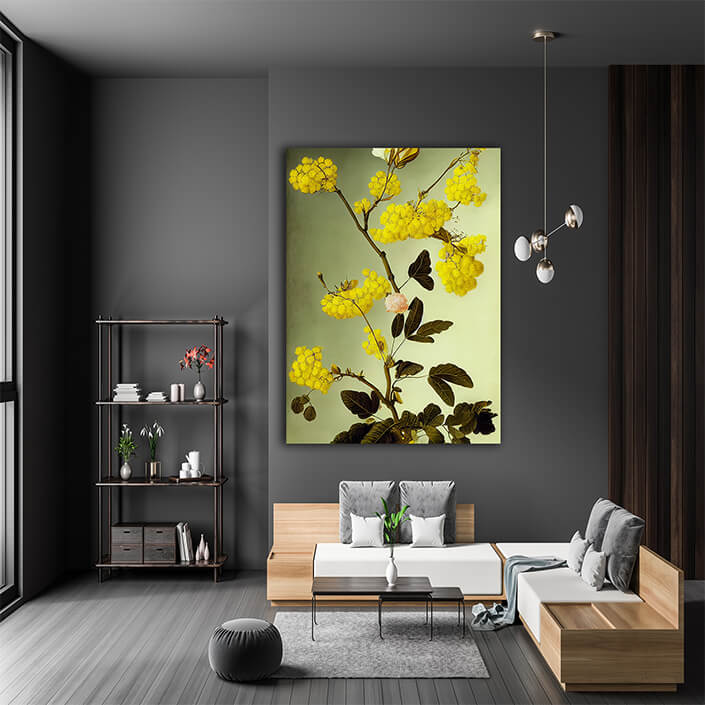 WEB007 0002 ML 0020 49132744 an artistic illustration of the australian wattle AOAY8220