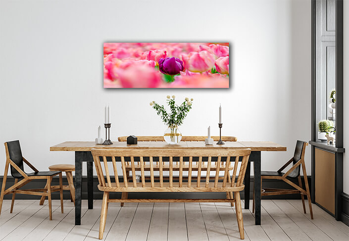 WEB007 0006 ML 0026 27915478 the red yellow tulip fields are densely blooming AOAY5627