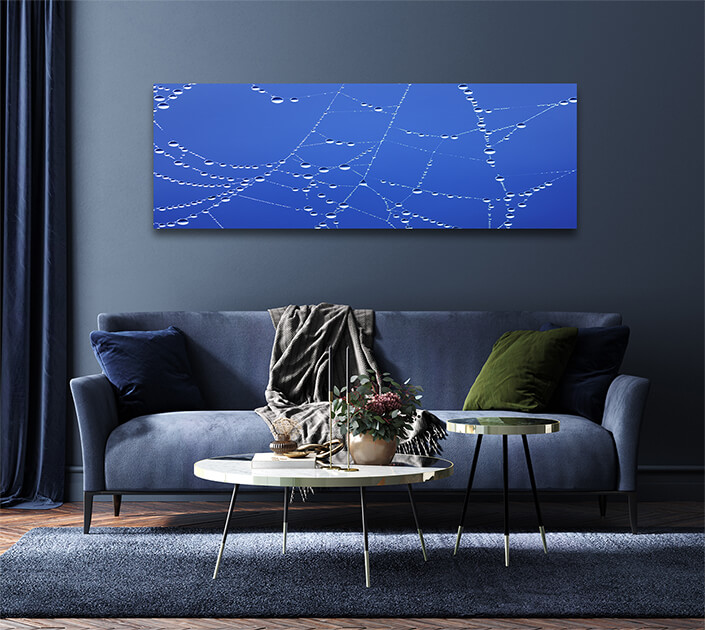 WEB007 0009 MP 0040 3762573 spiderweb AOAY7293