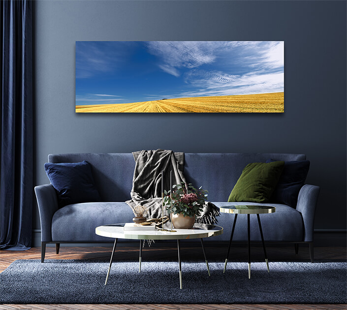 WEB007 0013 MP 0036 4014302 Nice field and sky landscape AOAY7297