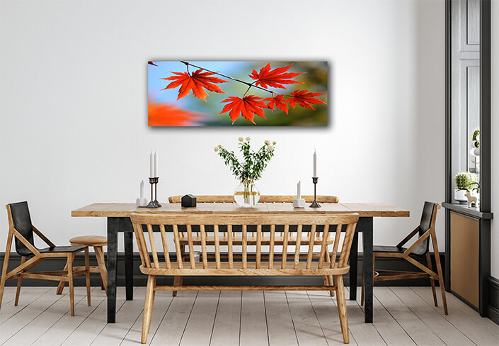 WEB007 0041 ML 0059 7239996 autumn maple leaves AOAY6683
