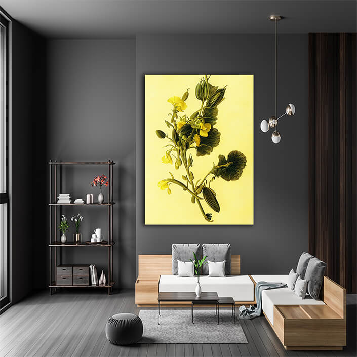 WEB007 0043 ML 0037 49132556 artistic illustration of yellow sweet pea flowers AOAY8202