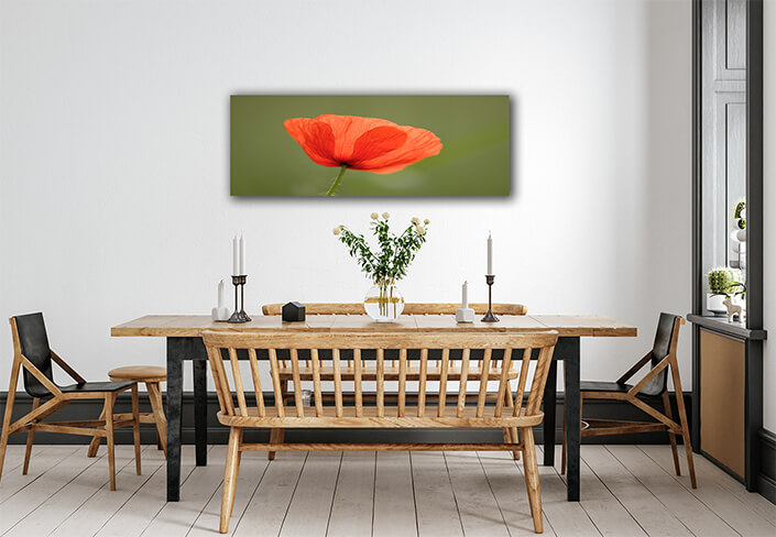WEB007 0070 ML 0074 1527072 poppy Flowers AOAY7268