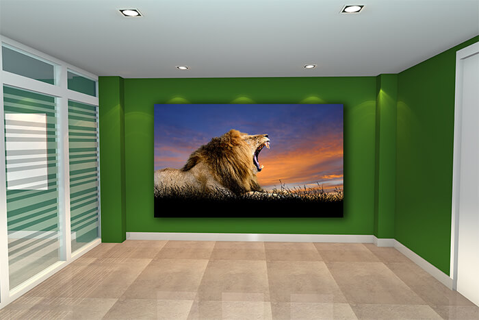 WEBP01 0001 ML 0014 22639482 The lion on the background of sunset sky AOAY5556