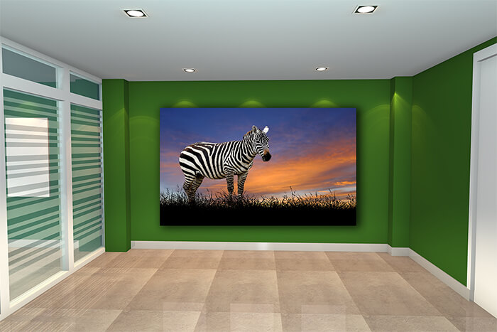 WEBP01_0004_ML_0011_22639488_The zebra on the background of sunset sky AOAY5559